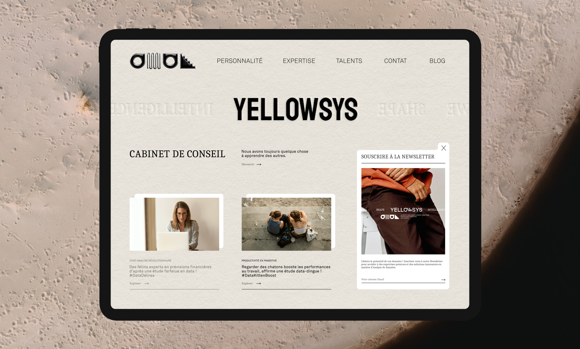 Yellowsys — photographie 07